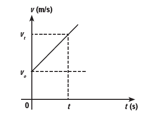 section-media