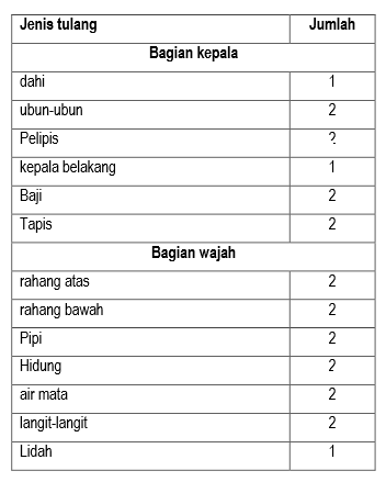 section-media