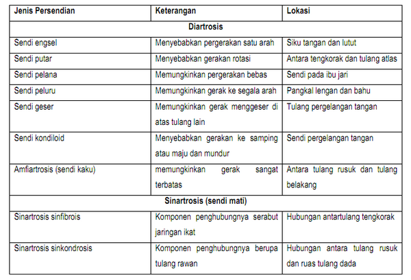 section-media