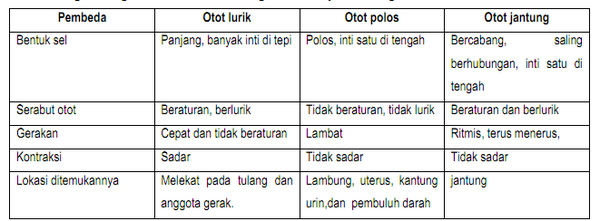 section-media