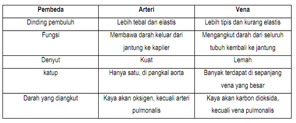 section-media