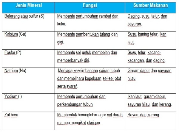 section-media