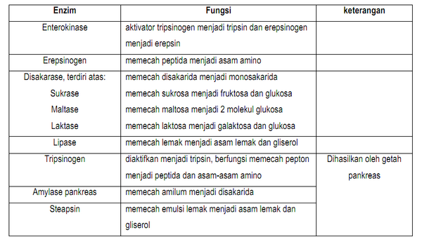 section-media