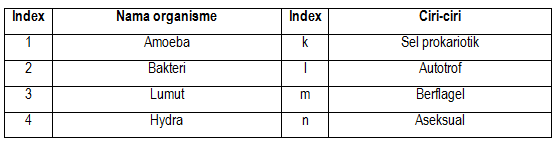 section-media