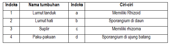 section-media