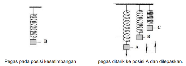 section-media