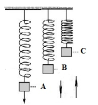 section-media