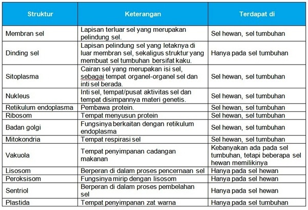  SEL  SEBAGAI  UNIT  STRUKTUR  DAN  FUNGSIONAL KEHIDUPAN  IPA 