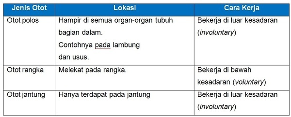 section-media