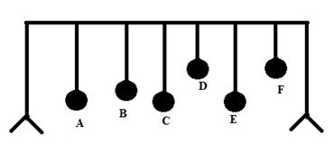 section-media