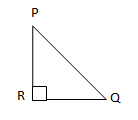 section-media