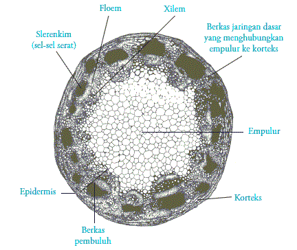 section-media