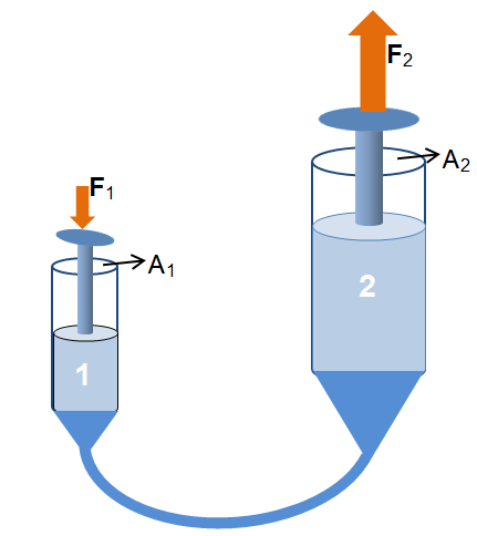 section-media