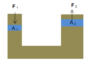 section-media