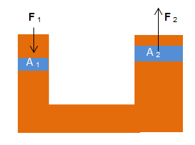 section-media