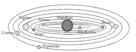 section-media