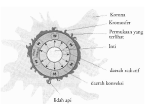 section-media