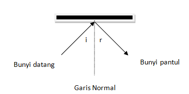 section-media