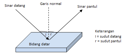 section-media