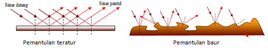 section-media