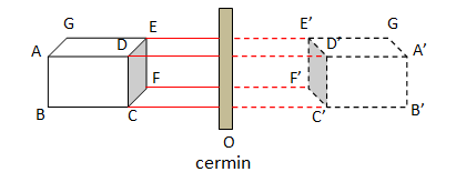 section-media