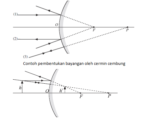 section-media