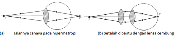 section-media