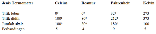 section-media