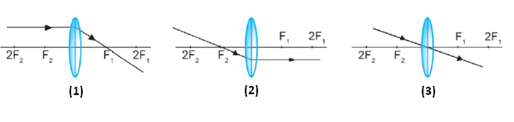 section-media