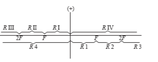 section-media