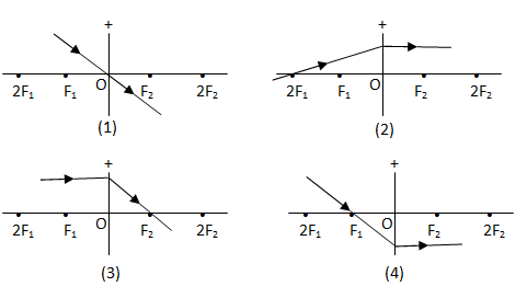 section-media