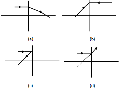 section-media