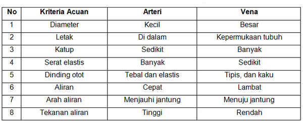 section-media