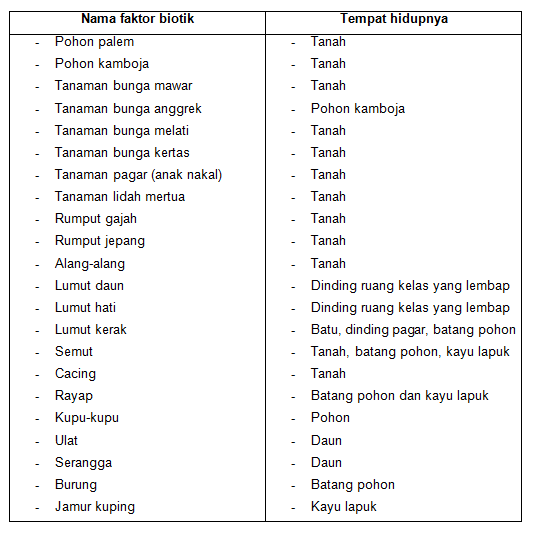 section-media