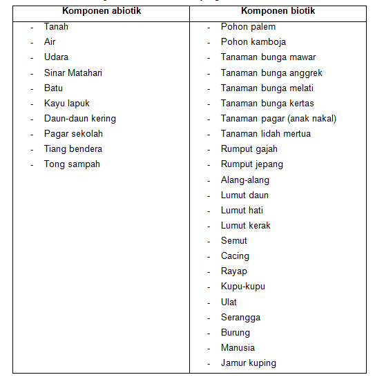 section-media