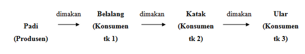 section-media