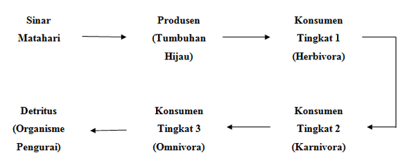 section-media