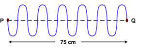 section-media