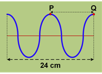 section-media