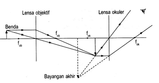 section-media