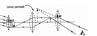 section-media