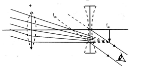 section-media