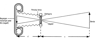 section-media