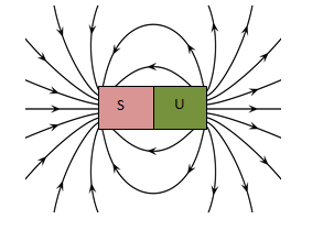 section-media