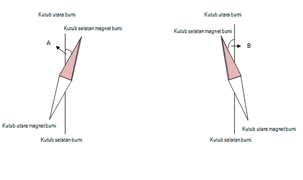 section-media