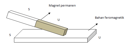 section-media