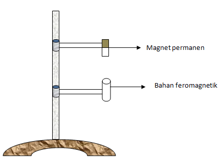 section-media