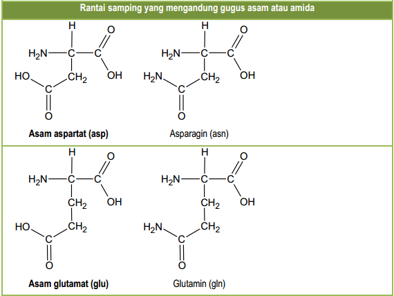 Contoh Soal Mengenal Protein dan Strukturnya