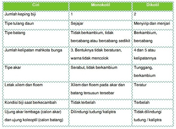 14 tabel bunga Plantae Klasifikasi Plantae Ciri Ciri dan Kingdom