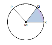 section-media